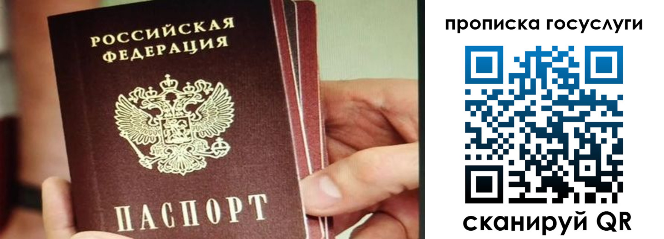 пропишу в квартире в Заринске